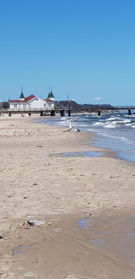 Apartment Ferienapartment Neptun Seebad Ahlbeck Heringsdorf (Usedom)